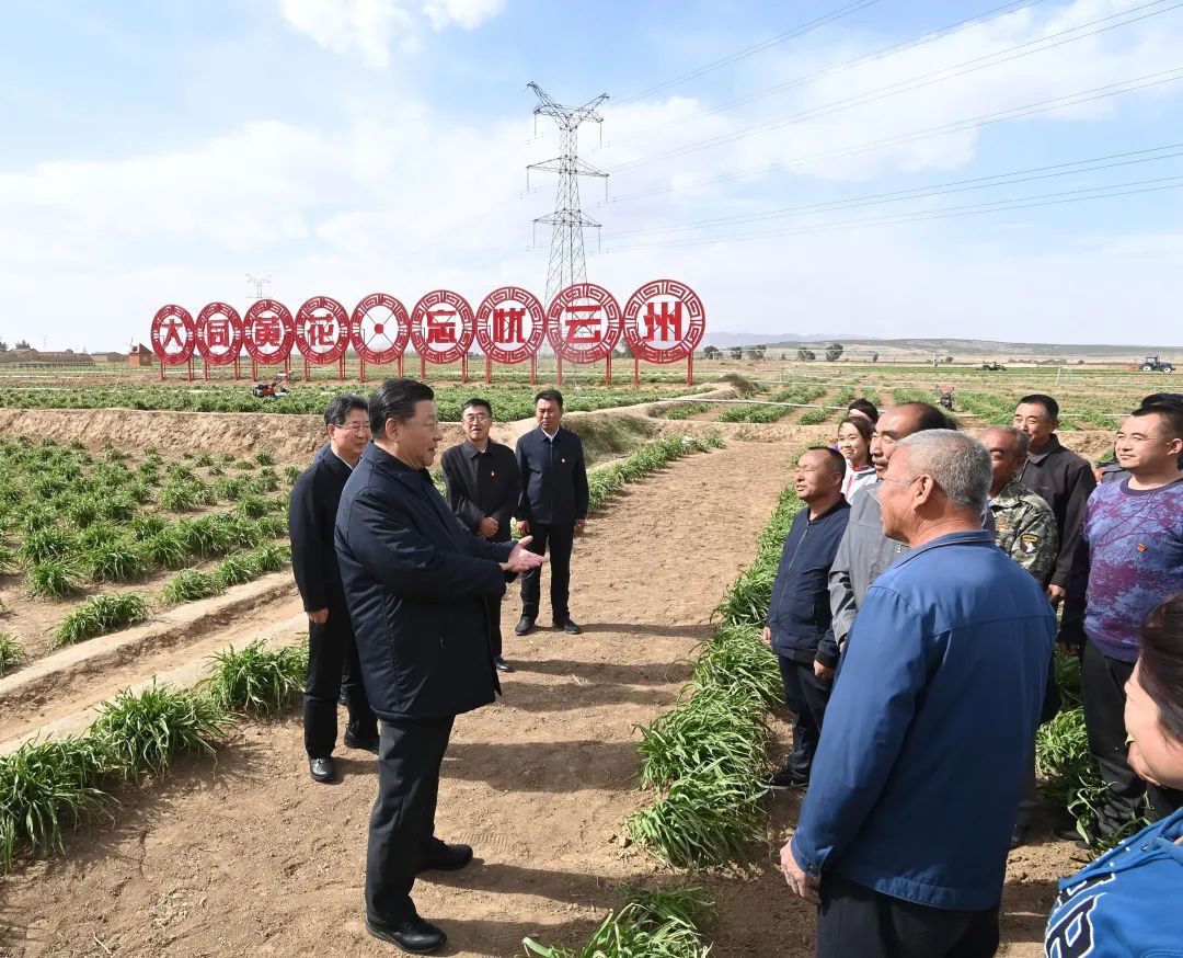 2020年5月11日，習近平考察山西大同市云州區有機黃花標準化種植基地。新華社記者 李學仁 攝