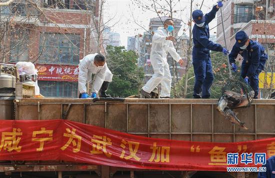 3月13日，一批運到湖北省武漢市硚口區華生漢口城市廣場社區的活魚在卸貨。當日，首批100噸調配自咸寧市的活魚運抵武漢市硚口區11個街道下轄社區。 新華社記者 程敏 攝